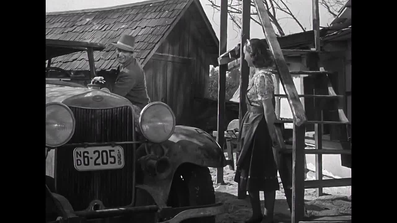 ⁣Three Faces West 1940 HDRip x264