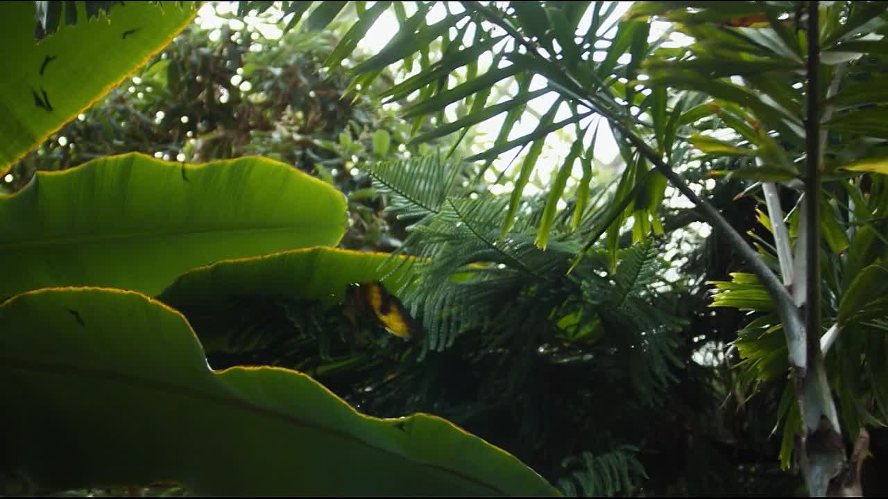 ⁣Heaven Is for Real 2014 1080p BluRay x264 YIFY