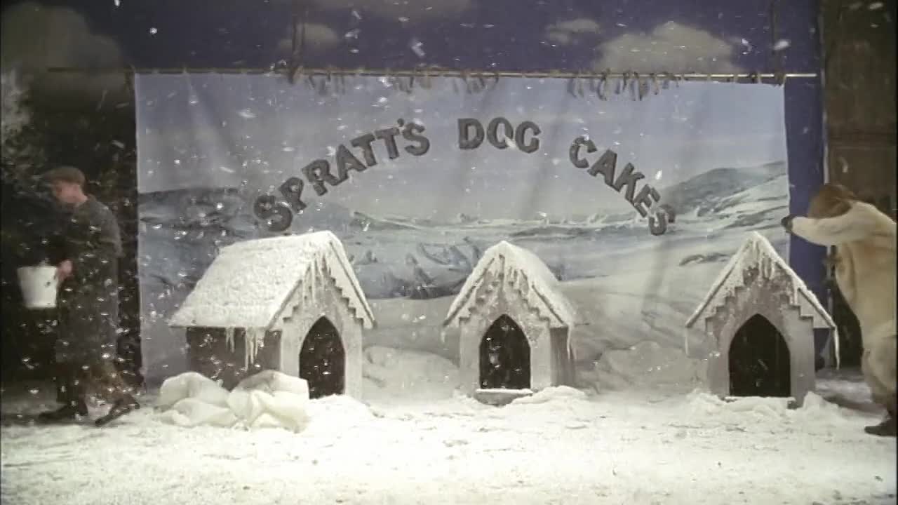 Shackleton 2002 720p WEBRip x264 AAC-