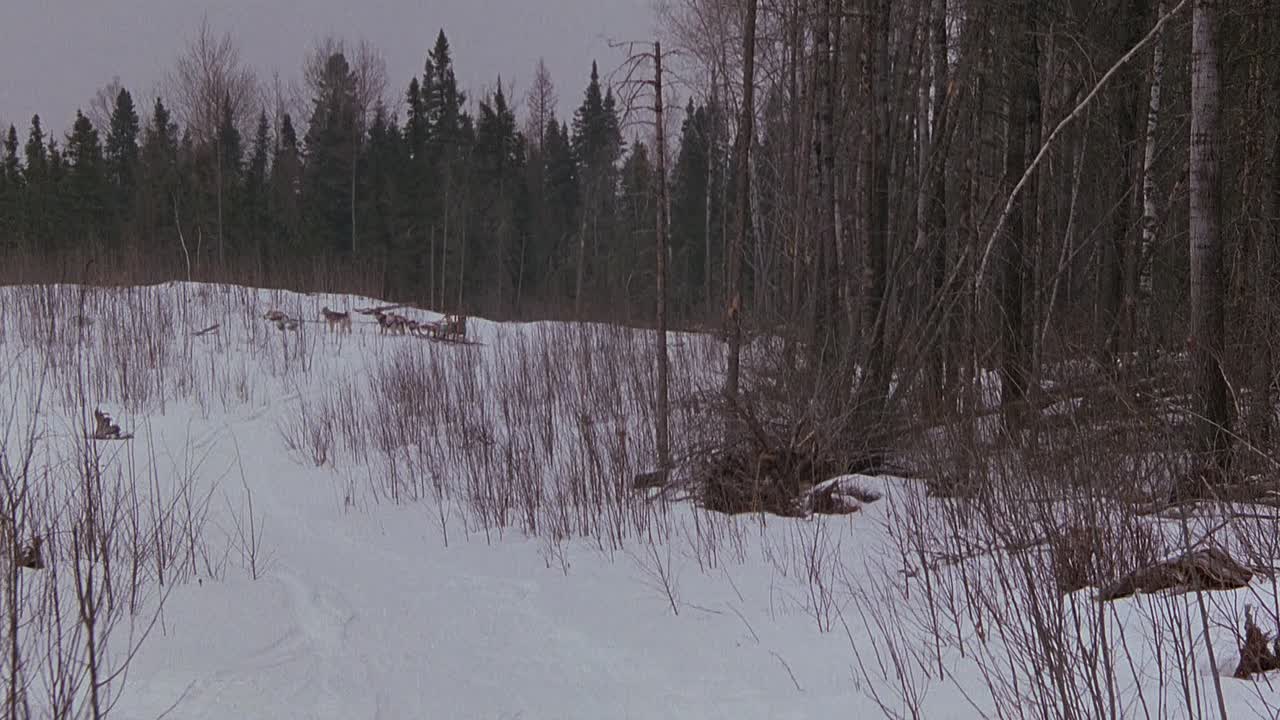 Iron Will 1994 1080p WEBRip x264 AAC5 1-