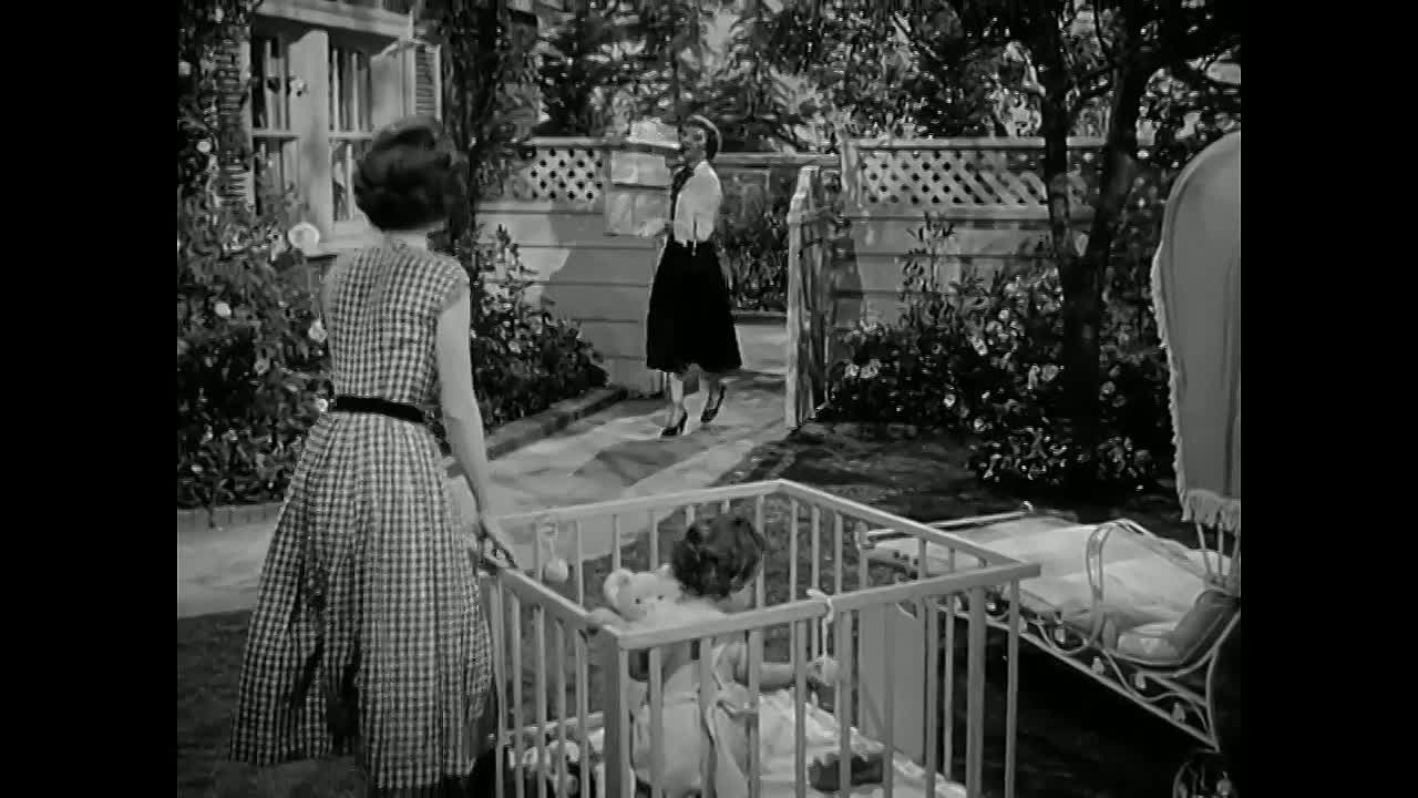 ⁣Lets Make it Legal 1951 WEBRip x264