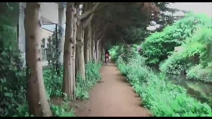 POV S37E13 -The Taste of Mango