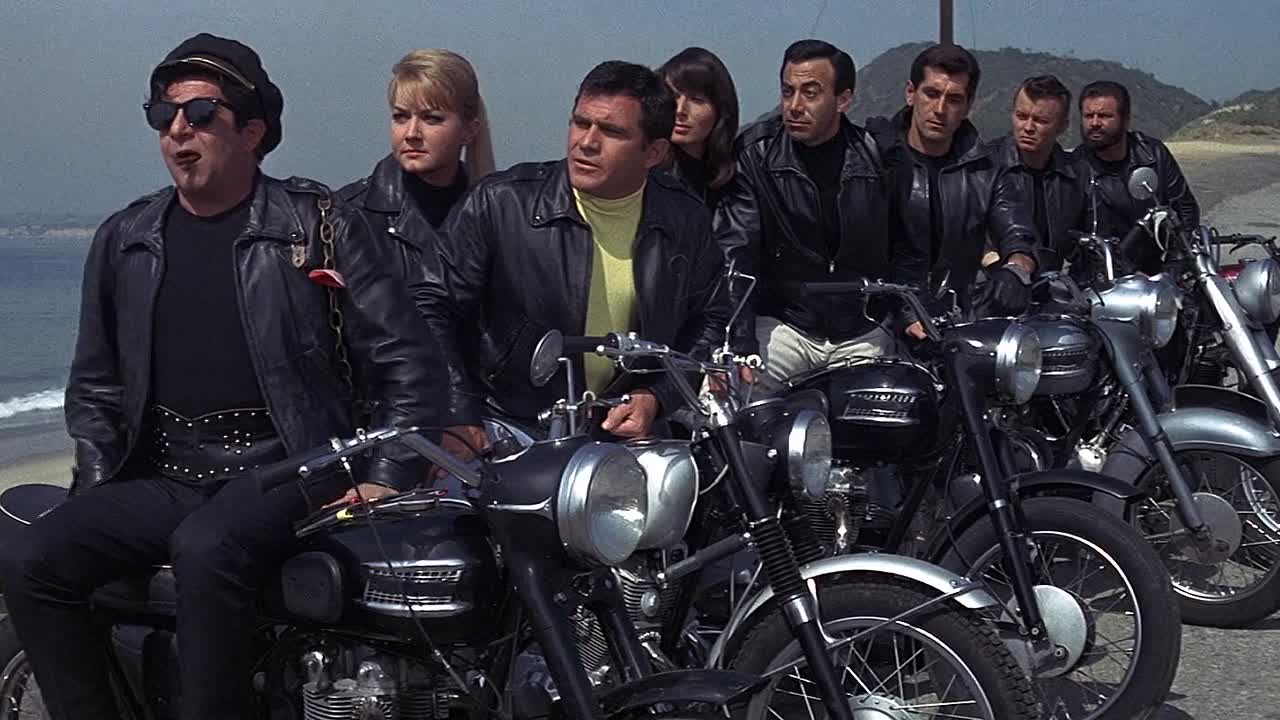 How To Stuff A Wild Bikini 1965 1080p BluRay x264 AAC-