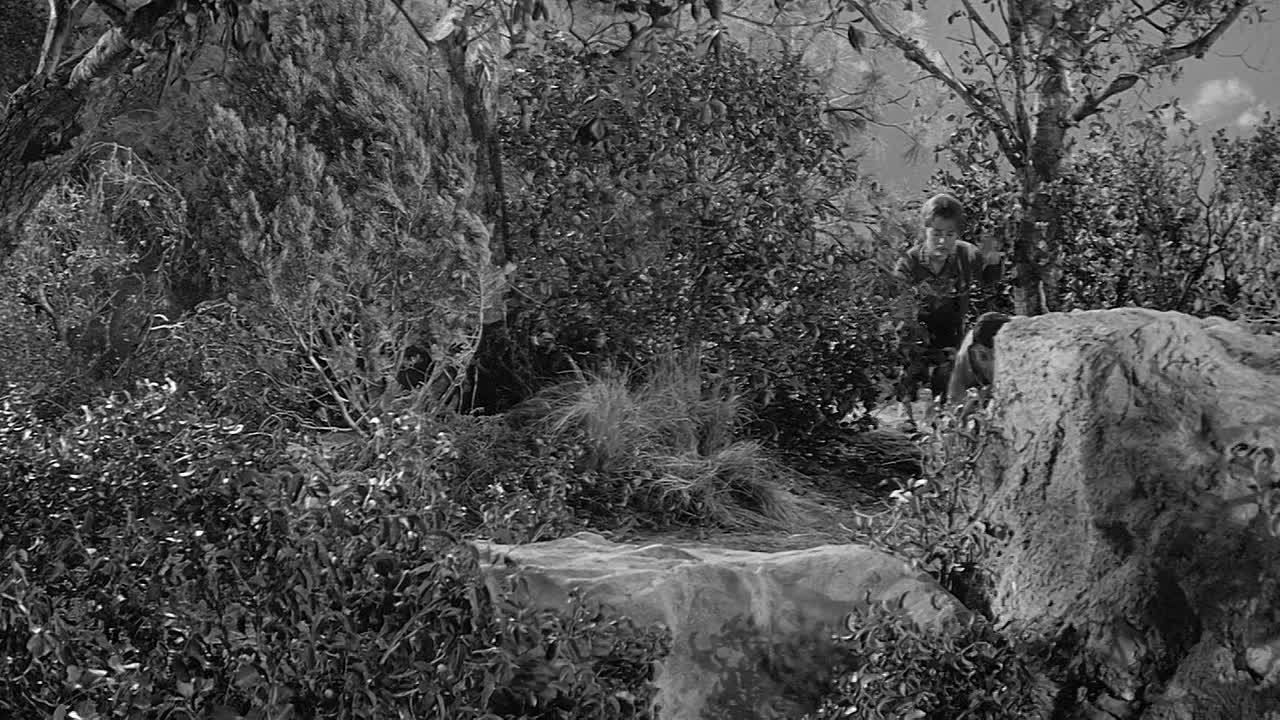 ⁣Panic In Year Zero 1962 1080p BluRay x264-[YTS LT]