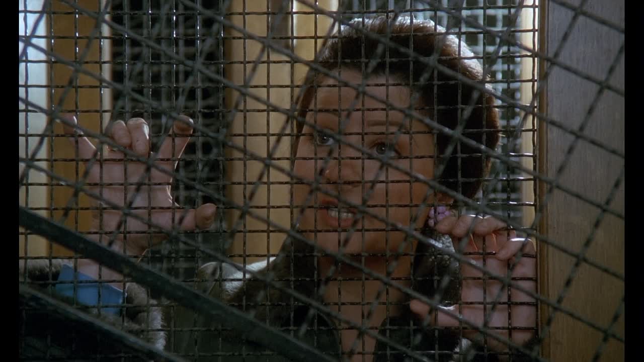 ⁣Le Pere Noel Est Une Ordure 1982 French 1080p HDLight LPCM AC3 H264-Xantar