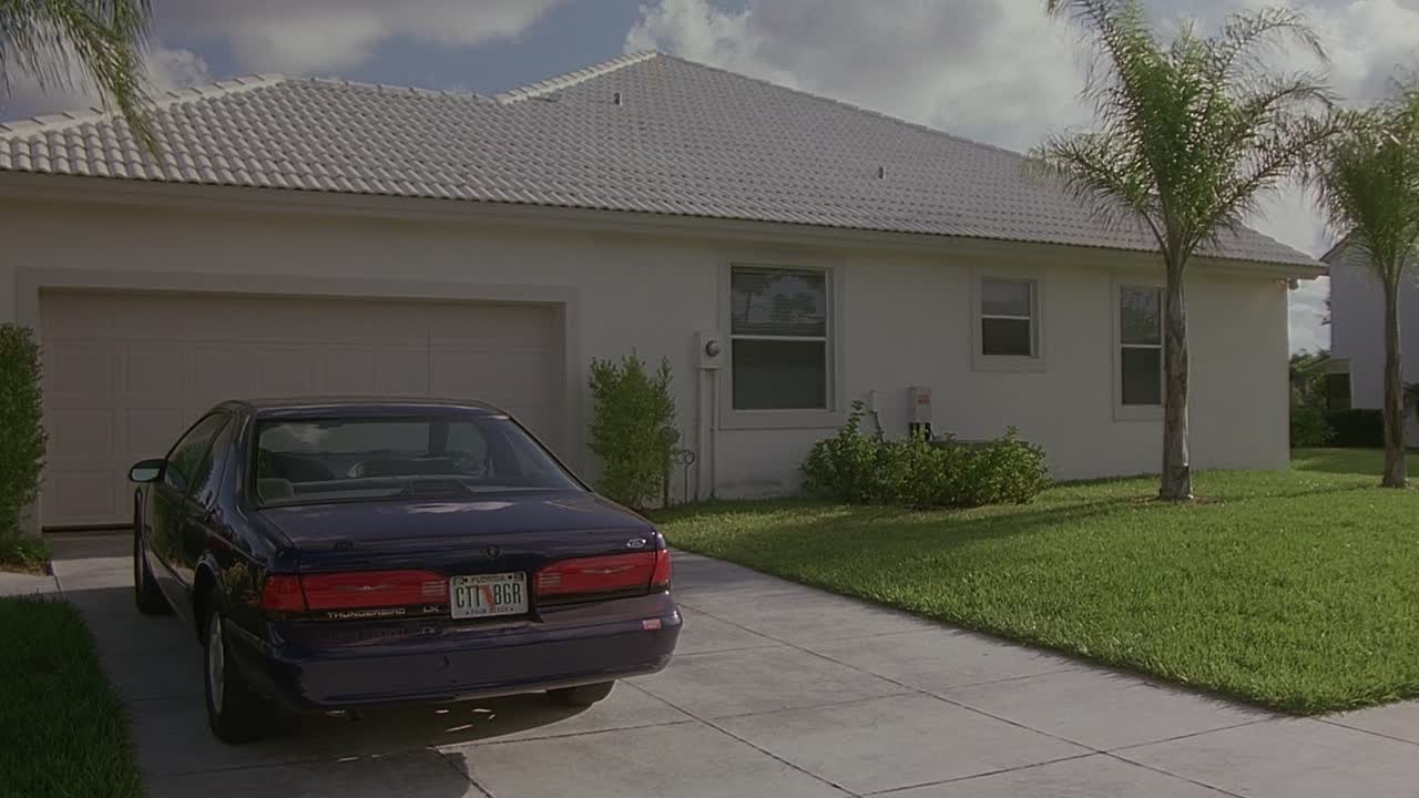 The Maddening 1995 1080p WEBRip x264 AAC-