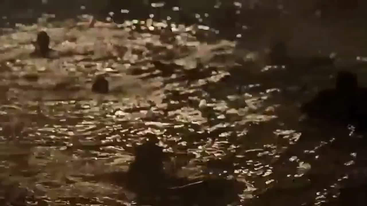 The Sinking of the Laconia 2010 720p WEBRip x264 AAC