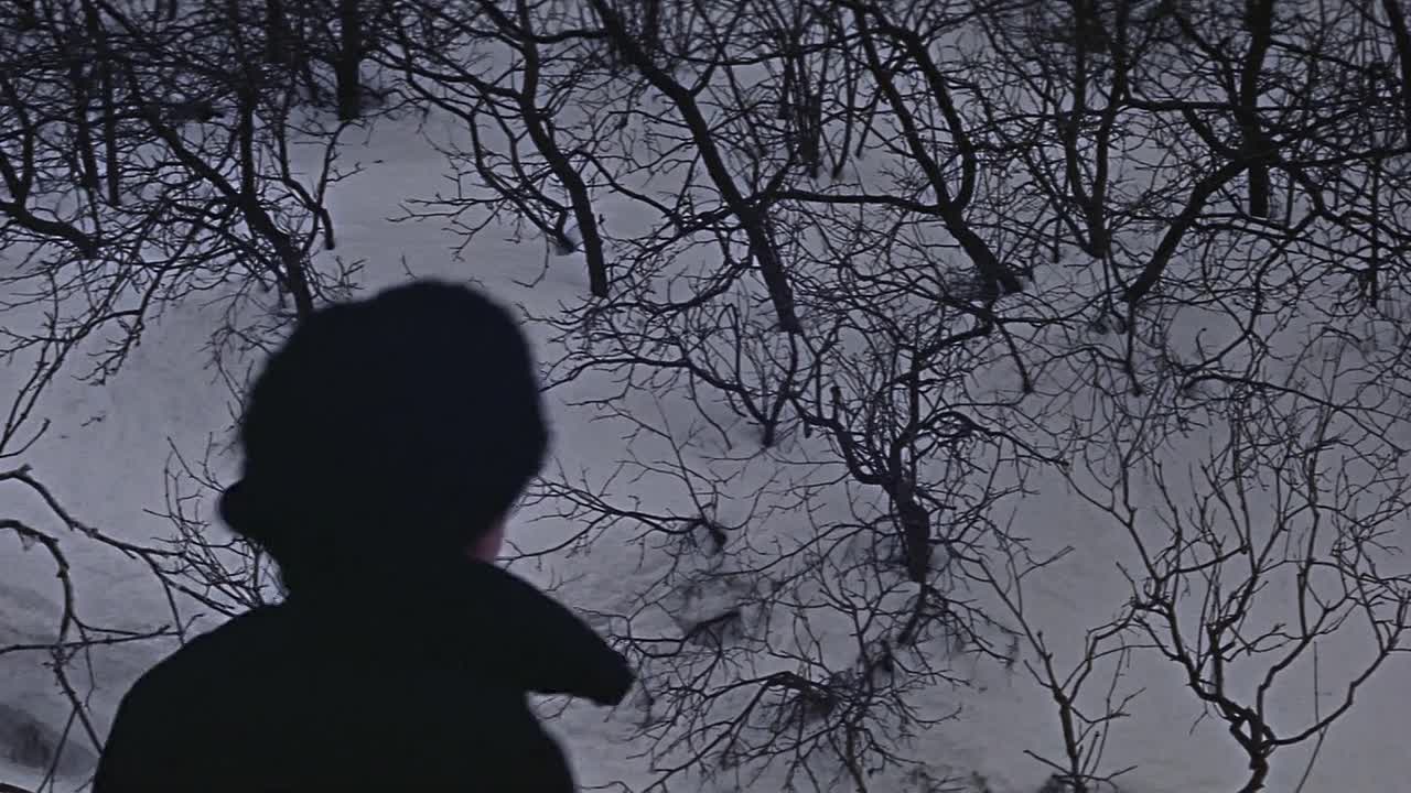 ⁣Billion Dollar Brain 1967 1080p BluRay x264 AAC-