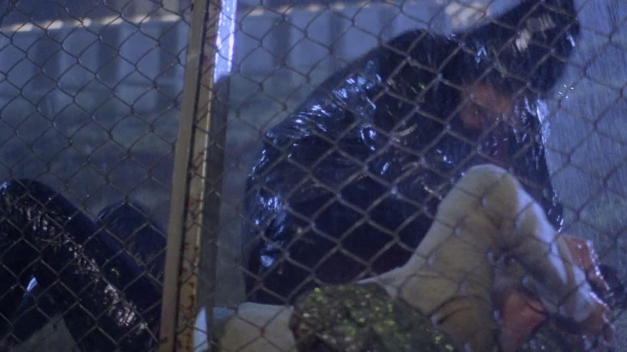 Her Vengeance 1988 CHINESE HC ENG SUBS 1080p BluRay x264 AAC-