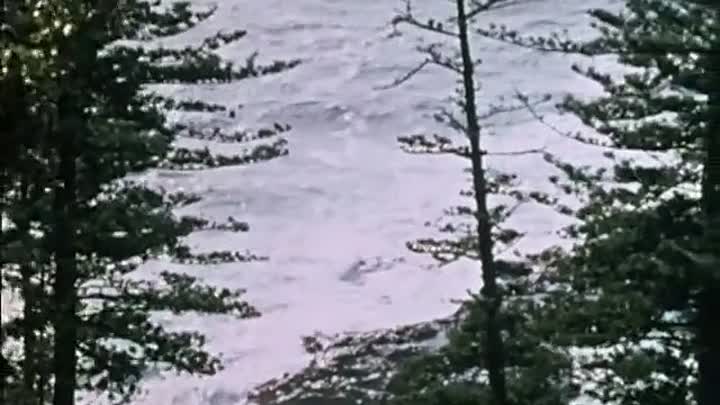 ⁣Whicker's World S05E01 -Husbands Shy Clear of Me Boy