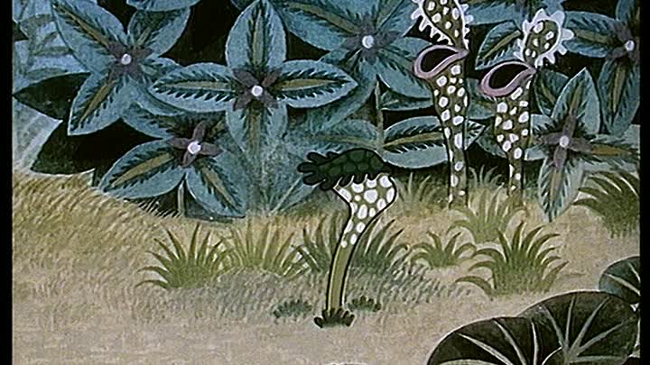 Der Maulwurf und die Medizin DVDRip