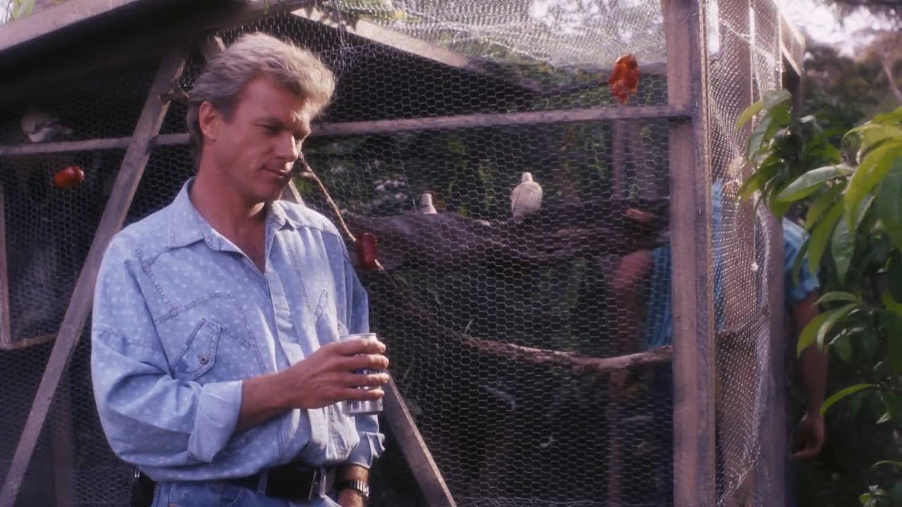 ⁣Breaking Loose Summer City II 1988 1080p WEBRip x264 AAC-