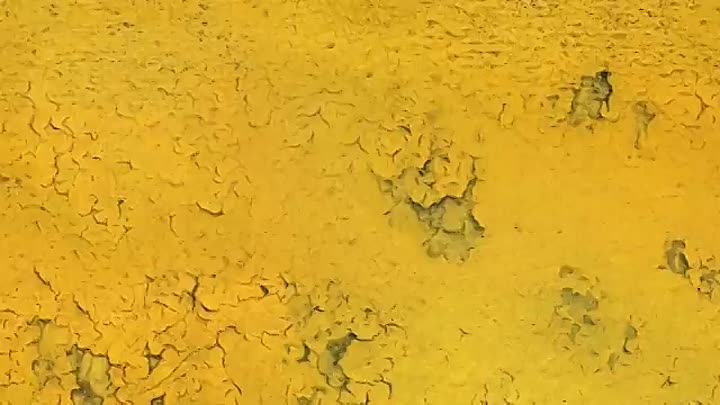 Faites entrer l'accusé -Crime à la Dexter