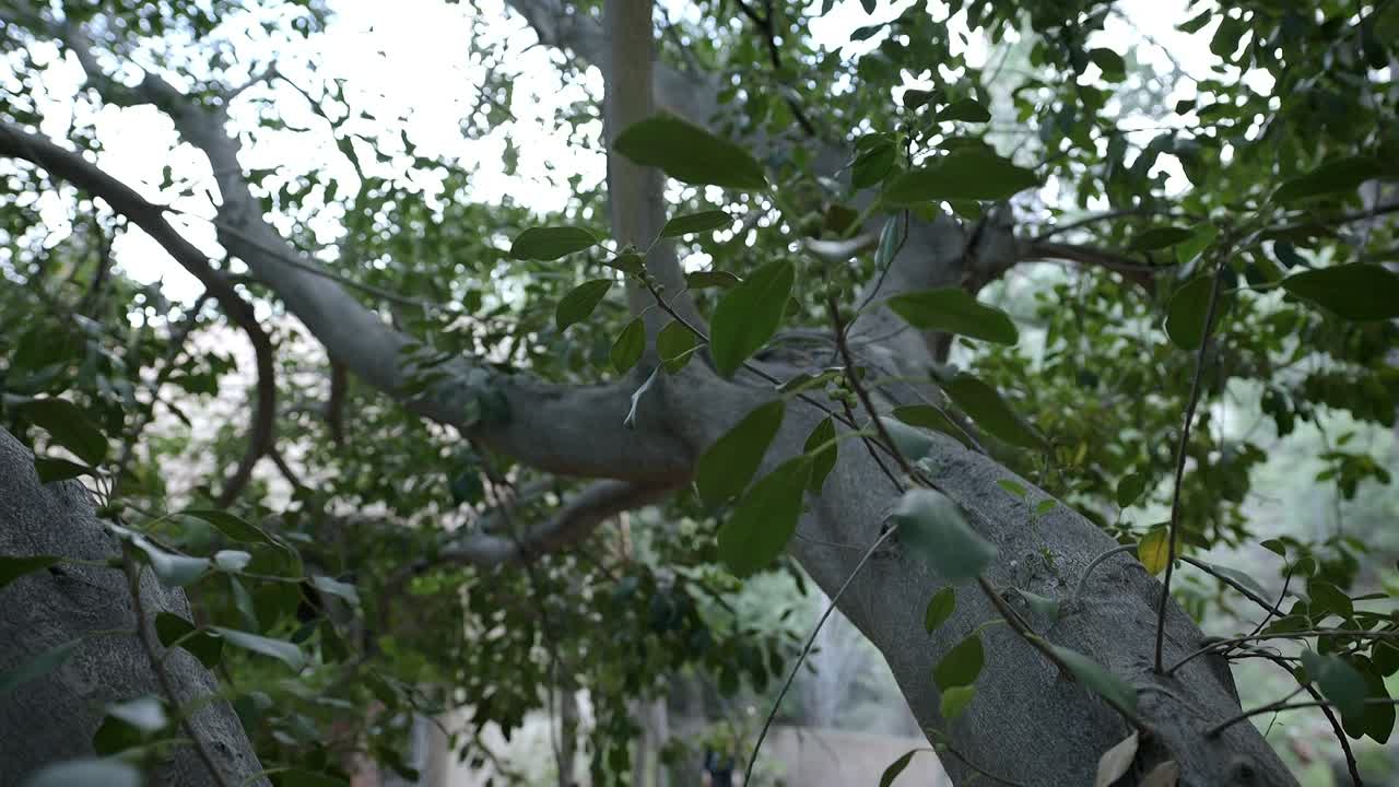 Home Not Alone 2023 1080p WEBRip x264 AAC-