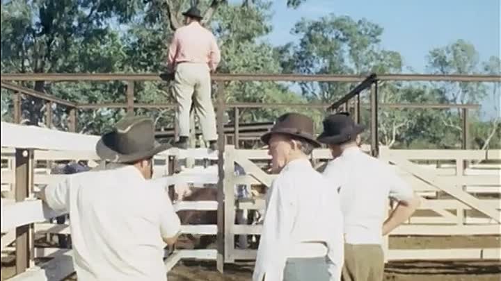 ⁣Whicker's World S05E04 -I Didn't Much Care For Riots