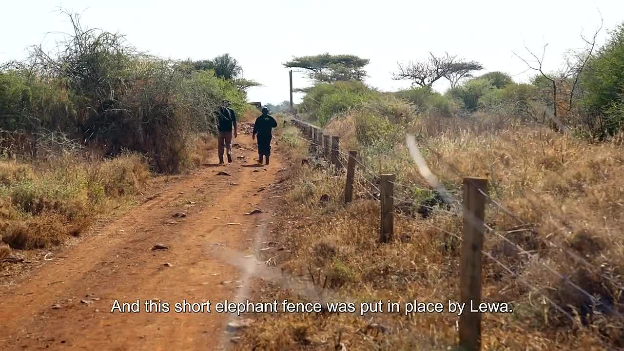 ⁣Human Footprint S02E06 -Vanishing Act