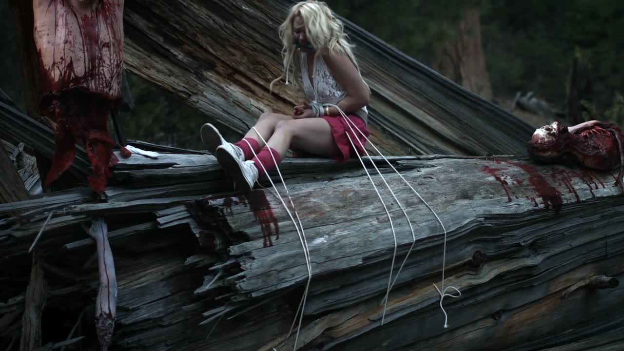 ⁣Playing with Dolls Bloodlust 2016 WEBRip x264 AAC