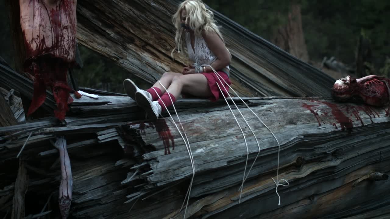 ⁣Playing With Dolls Bloodlust 2016 1080p BluRay x264-[YTS AG]