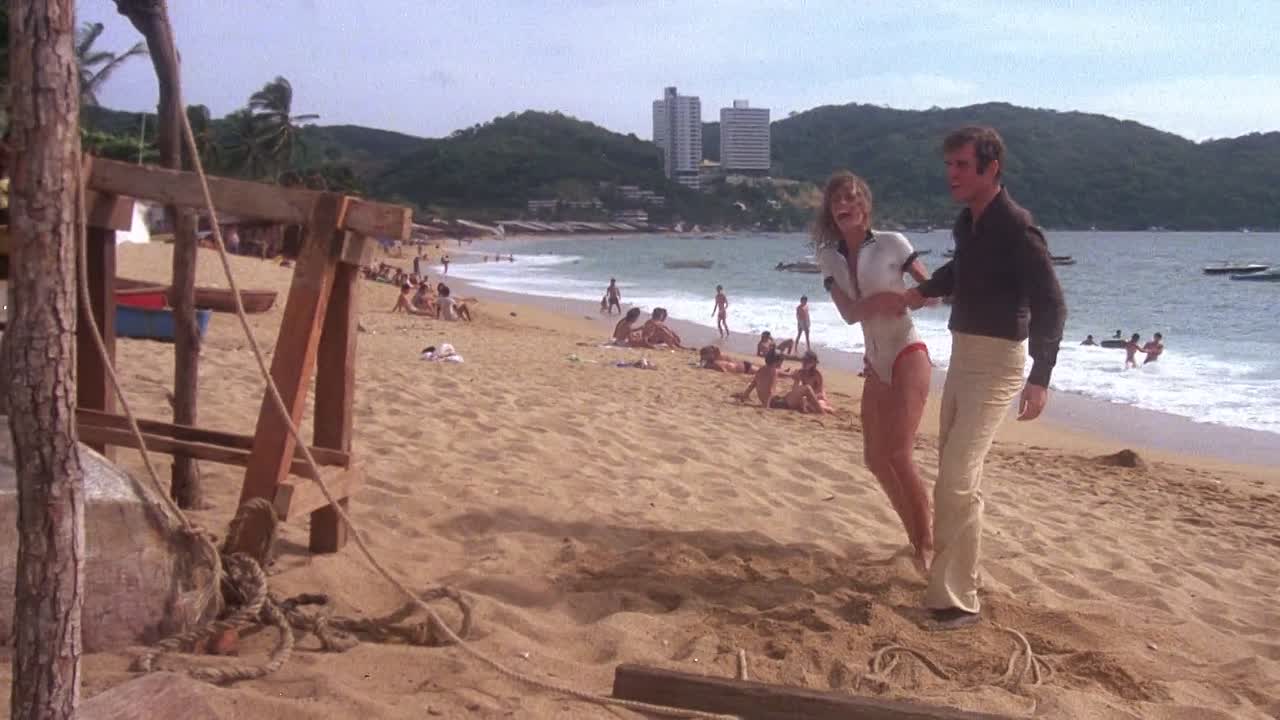 Sunburn 1979 1080p BluRay x264 AAC-