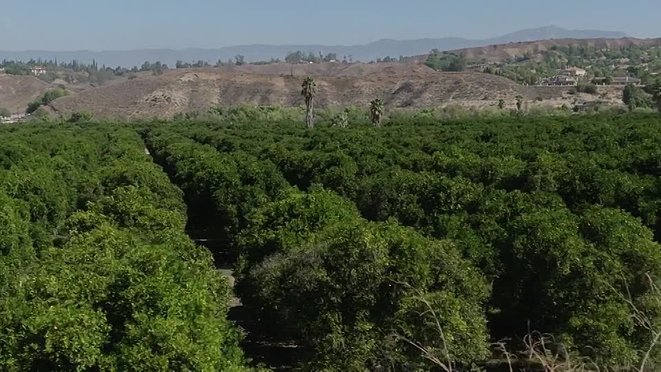 City Confidential S14E08