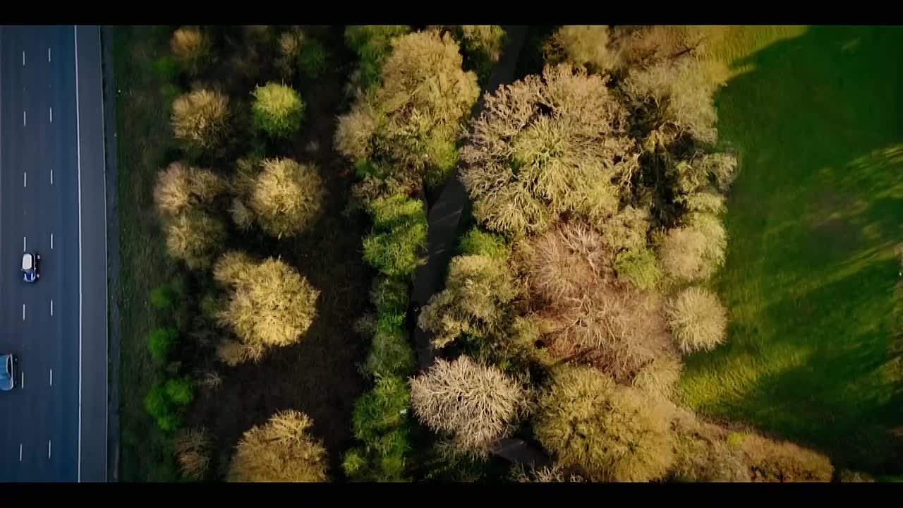 Child Snatcher 3 -Who Took Lynda and Dawn? S01E02