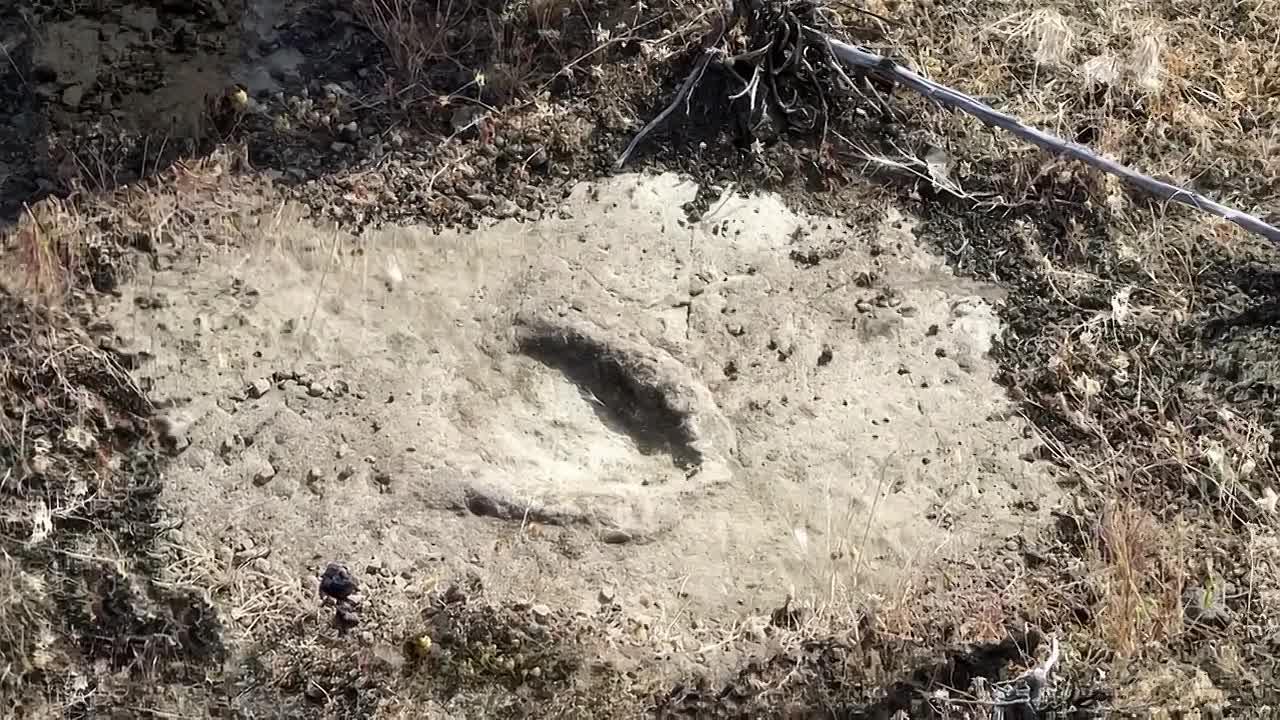 ⁣Discovered By Disaster S01E07