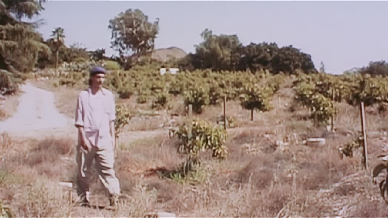 Reunion 2001 1080p WEBRip x264 AAC-