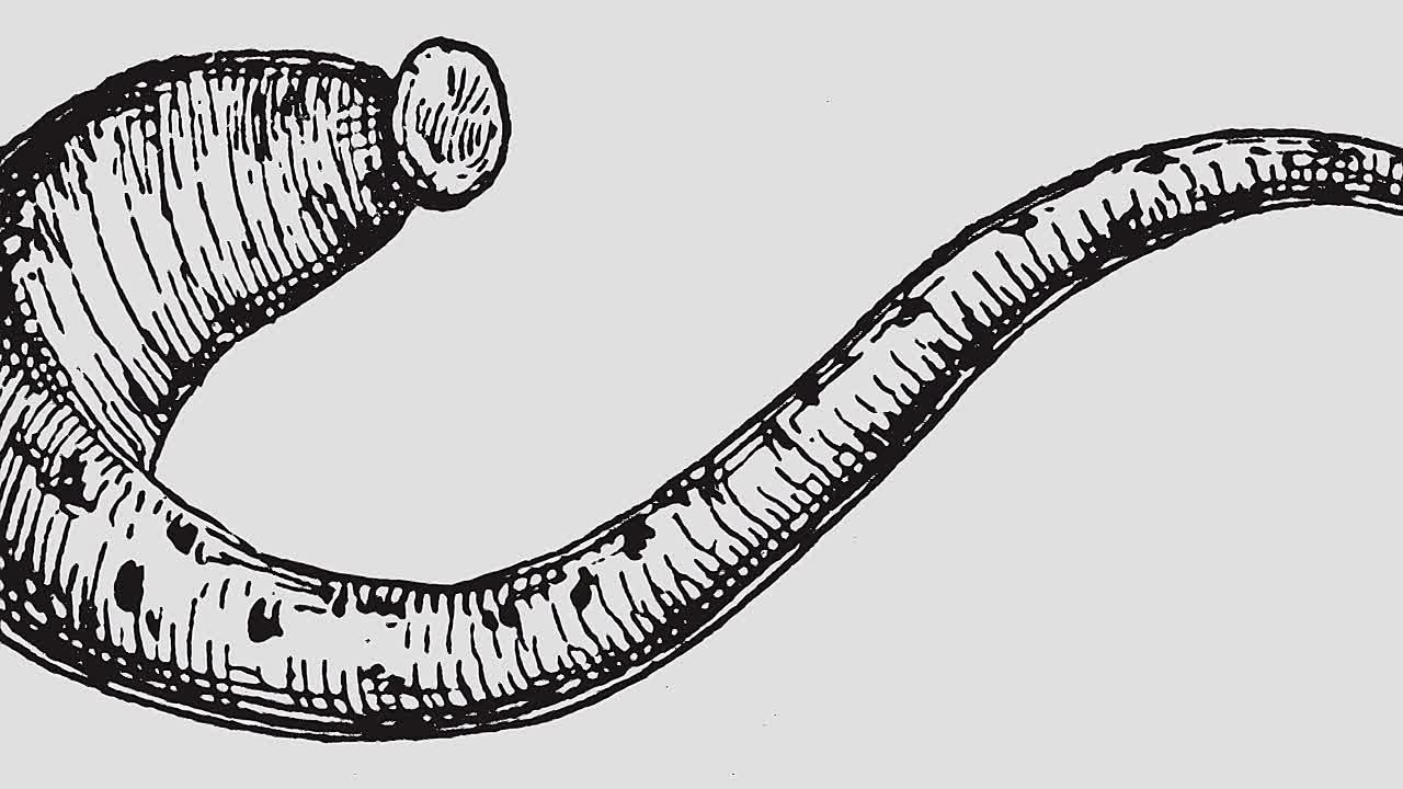 Hazardous History with Henry Winkler S01E08