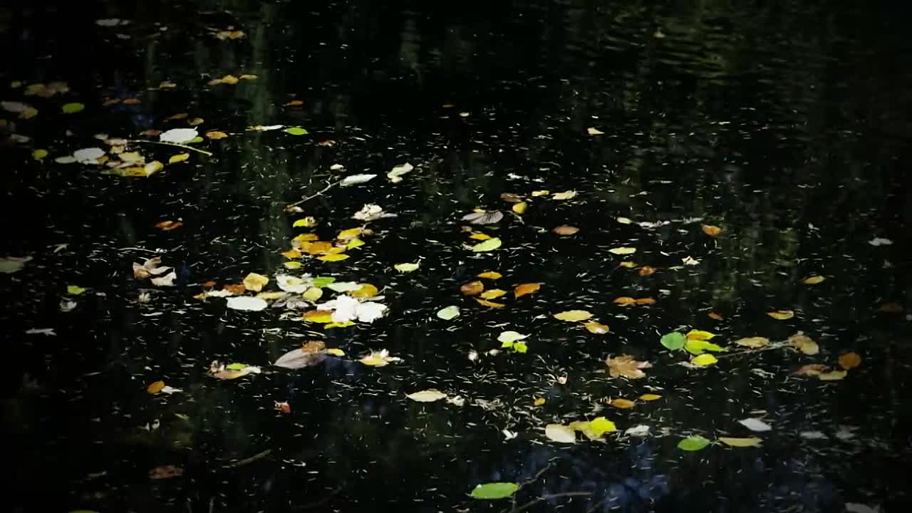 A Killer Among Friends S01E04