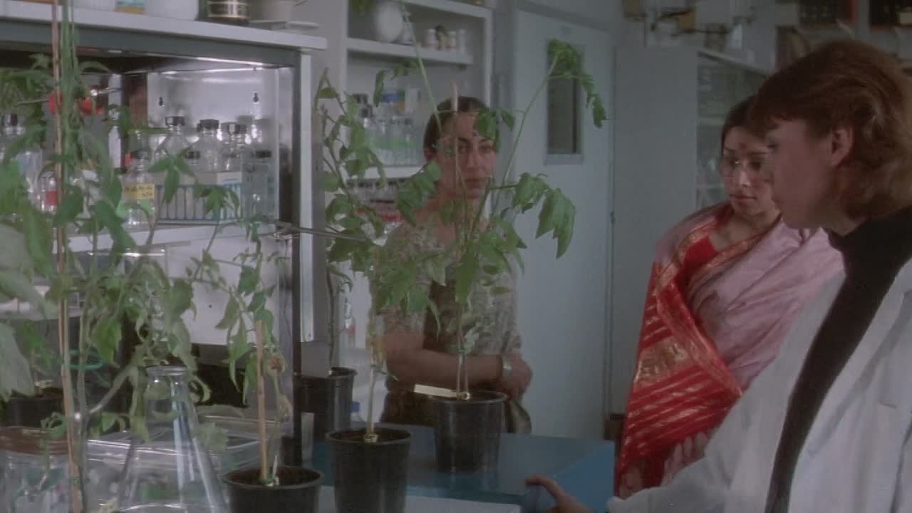 ⁣L Amour A Mort 1984 FRENCH 1080p BluRay x264 AAC-