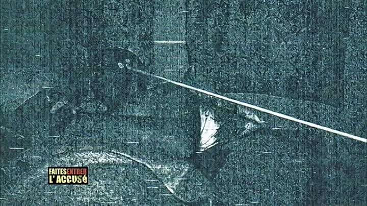 ⁣Faites entrer l'accusé -Les trois procès d'Edwige Alessandri