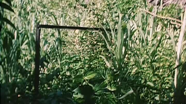 ⁣Whicker's World S06E01 -Devil's Island