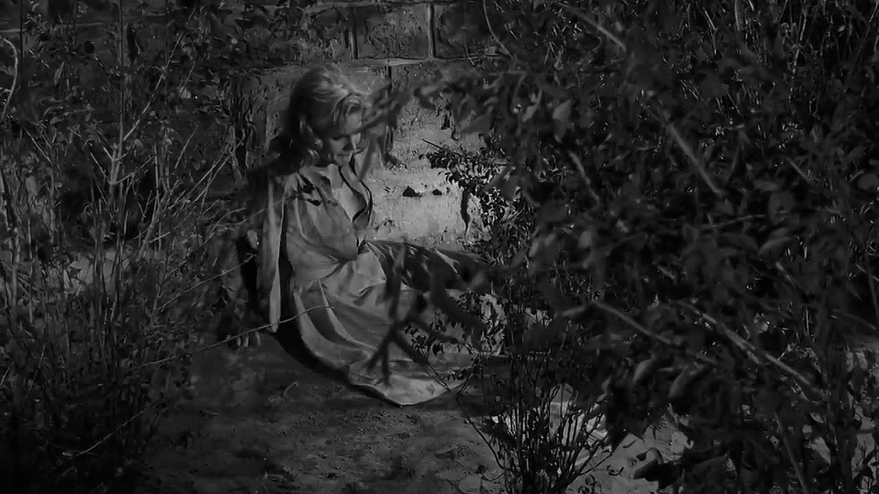 Something Wild 1961 WEBRip x264 AAC