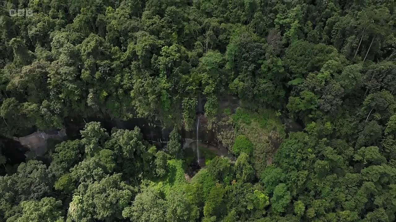 Human 2025 S01E02 -Into the Unknown