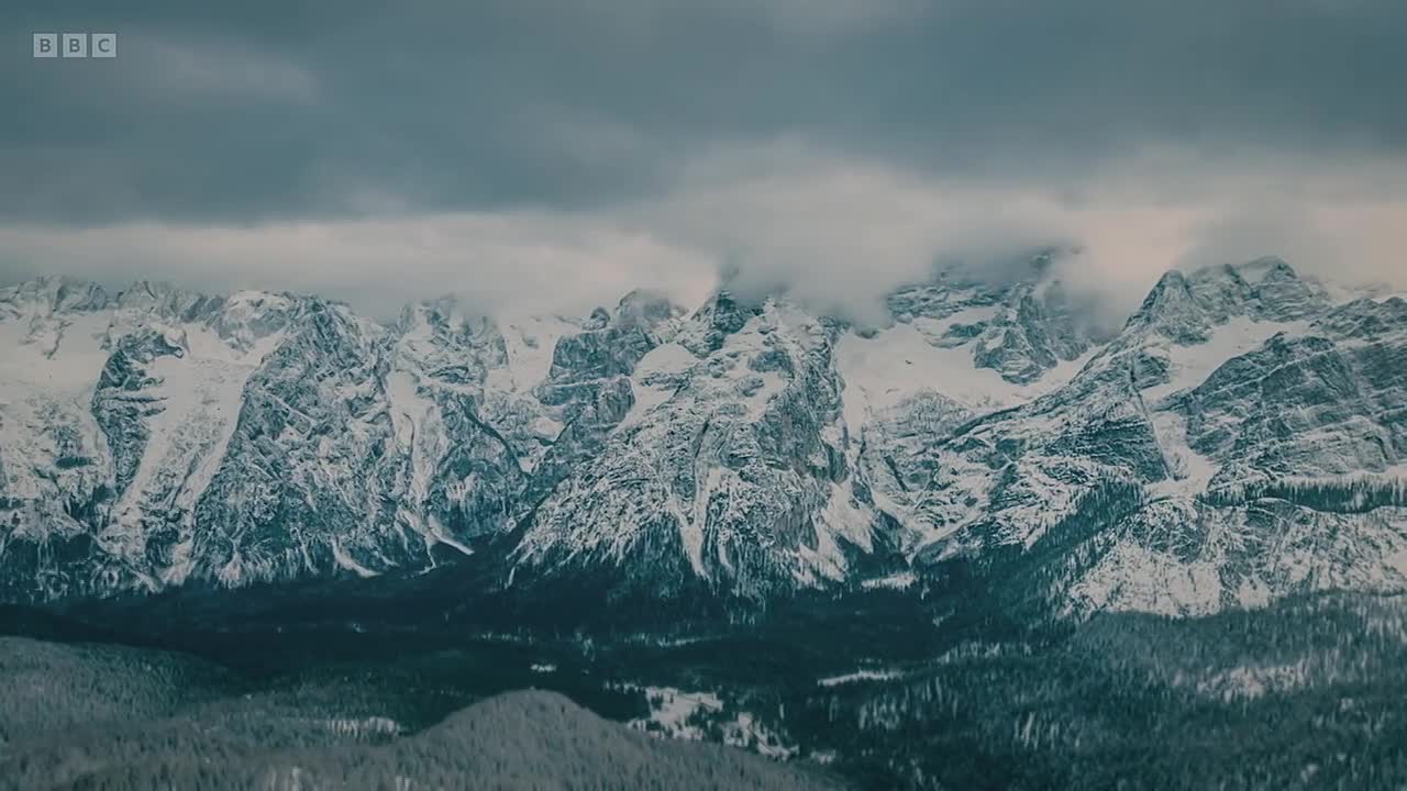 ⁣Human 2025 S01E03 -Last Humans Standing