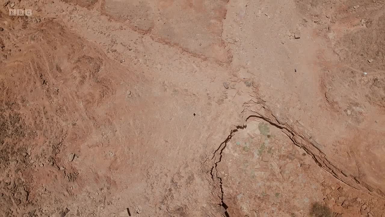 ⁣Human 2025 S01E05 -A Great Gamble