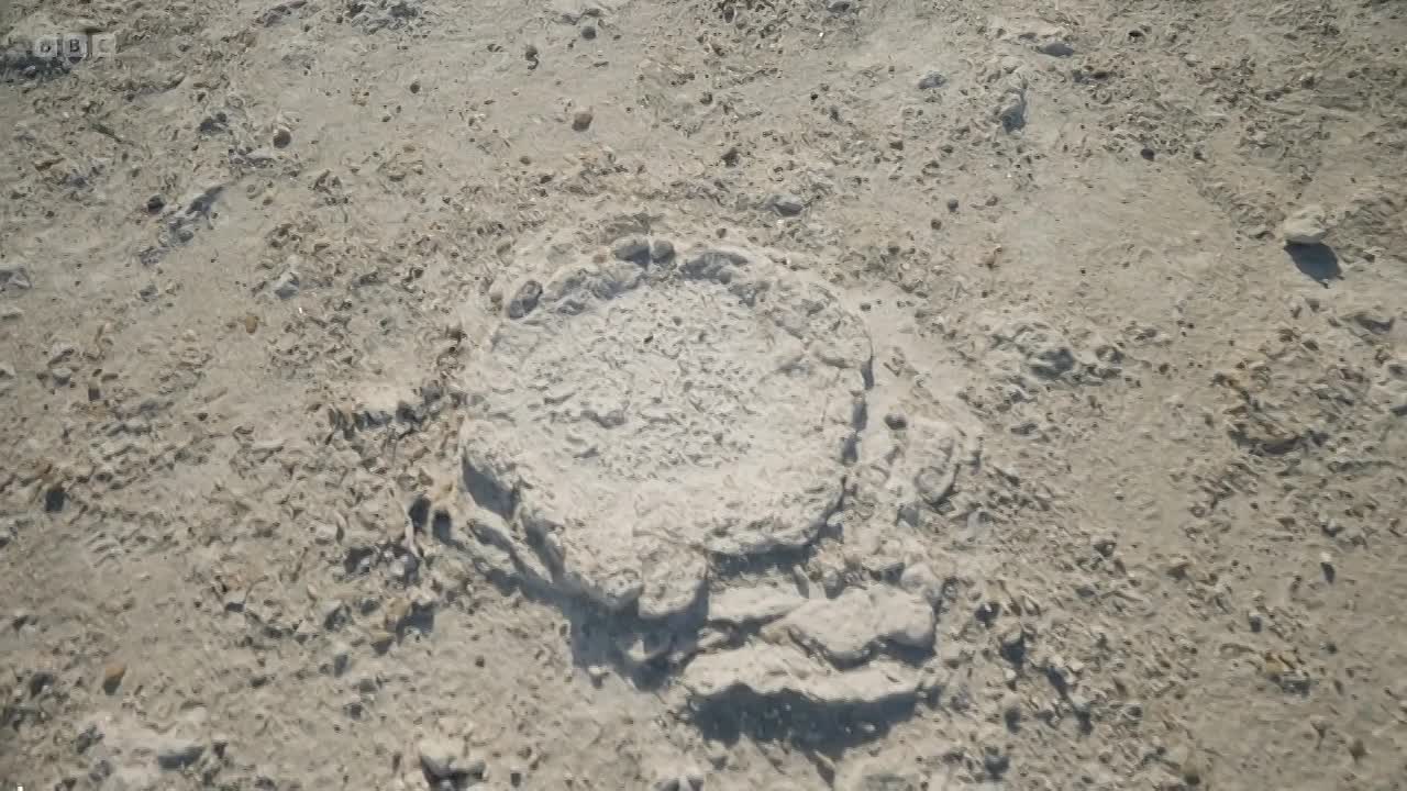 ⁣Human 2025 S01E04 -Discovering the Americas