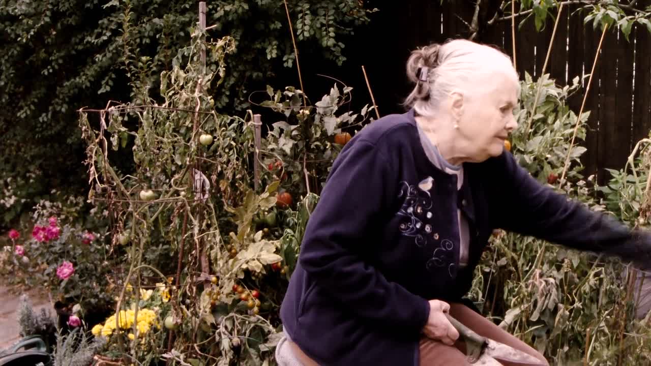 Roadie 2011 LIMITED 1080p BluRay x264 AAC5 1-