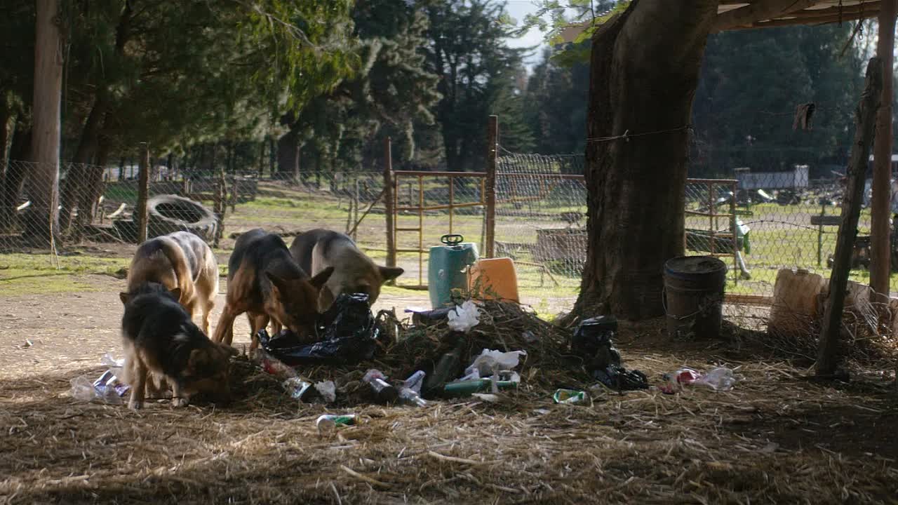 Millionario 2025 SPANISH HC ENG SUBS 1080p WEBRip x264 AAC5 1-