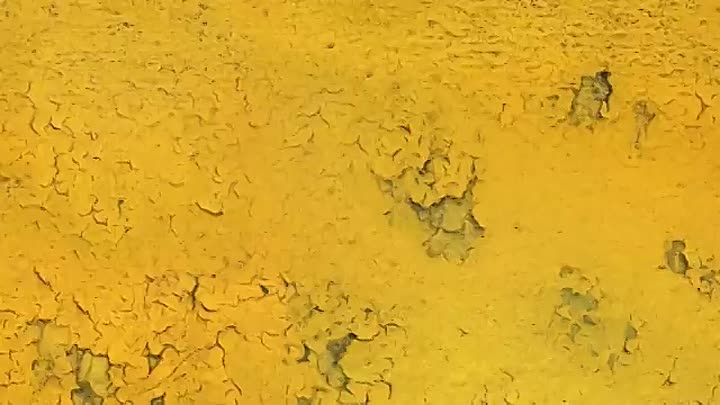 Faites entrer l'accusé -Sofiane Rasmouk, le monstre de Colombes