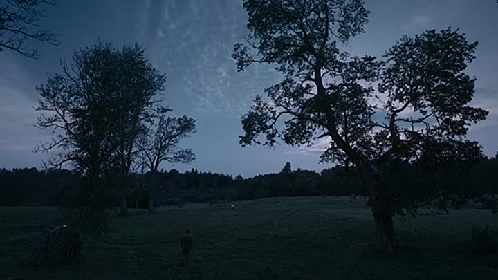 Squeal 2022 HDRip XviD AC3-EVO