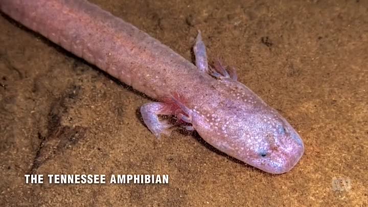 Griff's Great American South S01E03