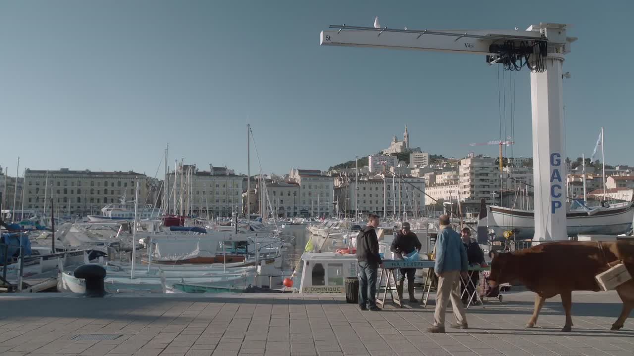 La Vache 2016 FRENCH 1036p WEBRip 264 AAC-456movie net