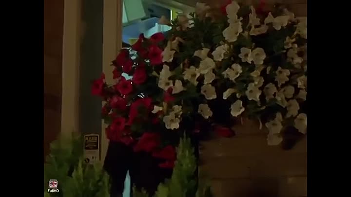 Close and True S01E06 -Gotcha