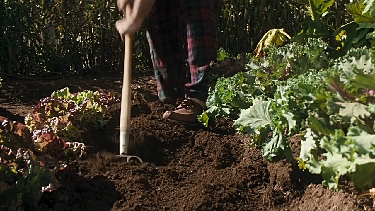 Phenomenon 1996 1080p BluRay x264-[YTS AM]