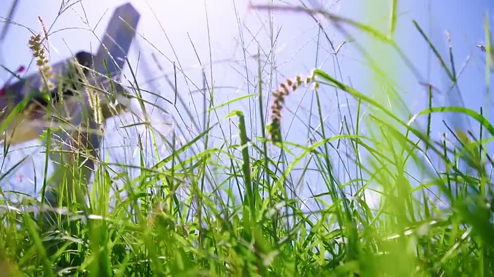 Homicide Squad New Orleans S02E02