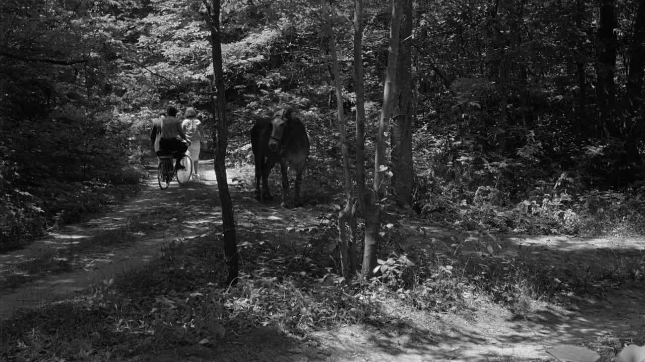 The Wedding Party 1969 1080p BluRay x264-[YTS AM]