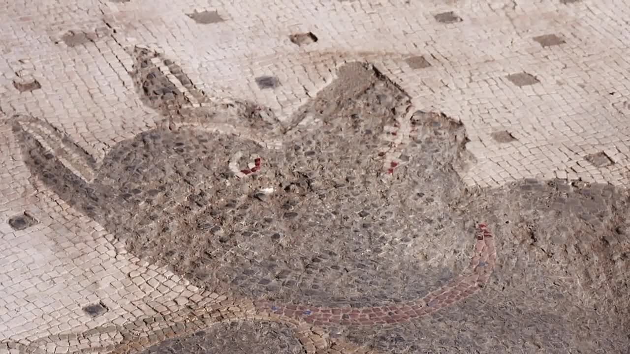 Pompeii Life in the City with Dan Snow S01E04