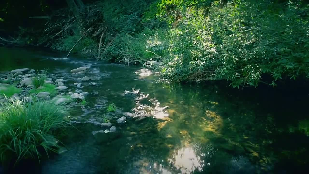 On The Case with Paula Zahn S28E07