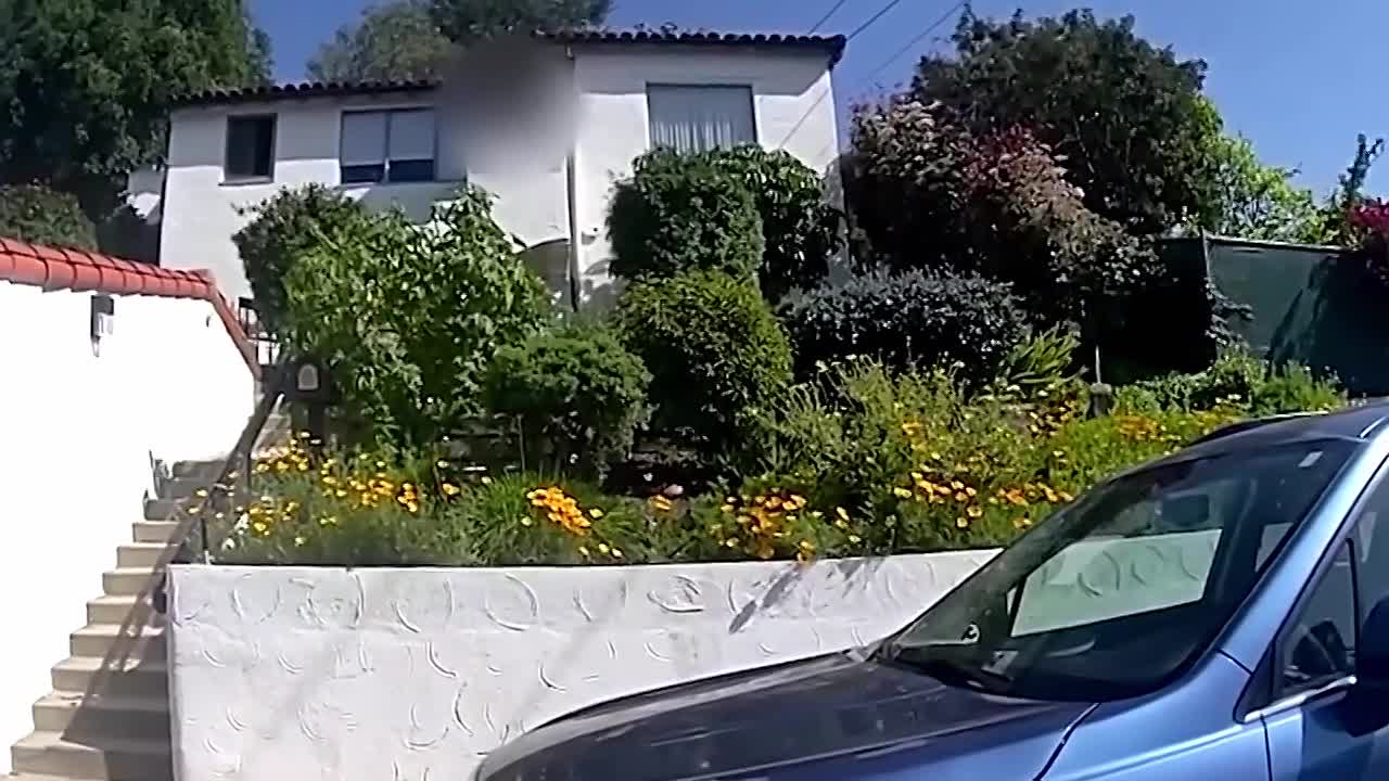 My Strange Arrest S03E09